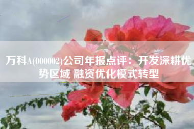 万科A(000002)公司年报点评：开发深耕优势区域 融资优化模式转型
