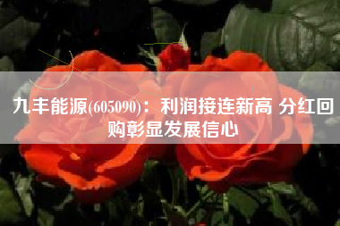 九丰能源(605090)：利润接连新高 分红回购彰显发展信心