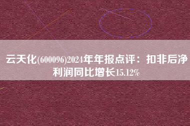 云天化(600096)2024年年报点评：扣非后净利润同比增长15.12%