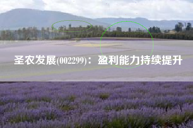 圣农发展(002299)：盈利能力持续提升