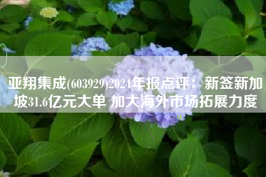 亚翔集成(603929)2024年报点评：新签新加坡31.6亿元大单 加大海外市场拓展力度
