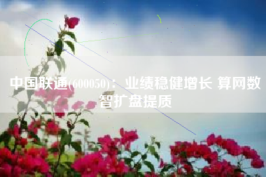 中国联通(600050)：业绩稳健增长 算网数智扩盘提质