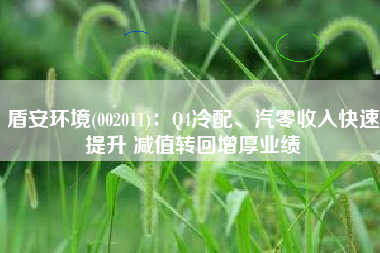 盾安环境(002011)：Q4冷配、汽零收入快速提升 减值转回增厚业绩