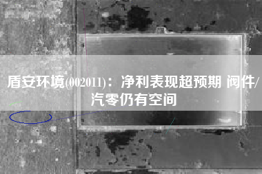 盾安环境(002011)：净利表现超预期 阀件/汽零仍有空间