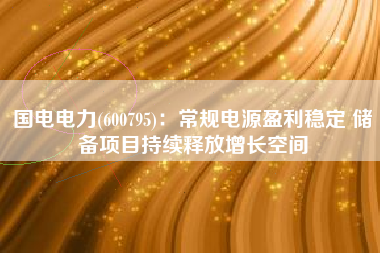 国电电力(600795)：常规电源盈利稳定 储备项目持续释放增长空间