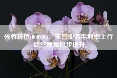兴蓉环境(000598)：主营业务毛利率上行 经营质量稳步提升