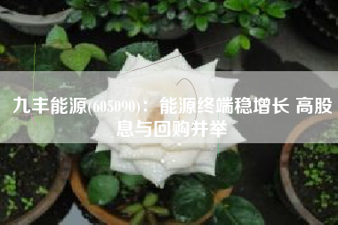 九丰能源(605090)：能源终端稳增长 高股息与回购并举