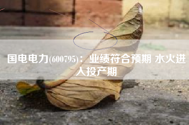 国电电力(600795)：业绩符合预期 水火进入投产期