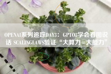 OPENAI系列追踪DAY3：GPTO3学会看图说话 SCALINGLAWS验证“大算力=大能力”
