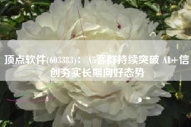 顶点软件(603383)：A5客群持续突破 AI+信创夯实长期向好态势