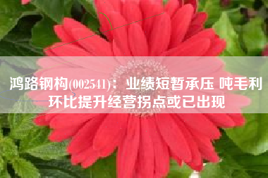 鸿路钢构(002541)：业绩短暂承压 吨毛利环比提升经营拐点或已出现