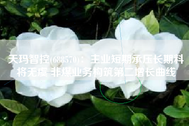 天玛智控(688570)：主业短期承压长期料将无虞 非煤业务构筑第二增长曲线