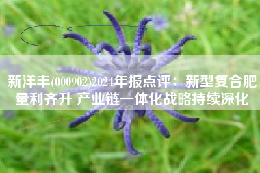 新洋丰(000902)2024年报点评：新型复合肥量利齐升 产业链一体化战略持续深化