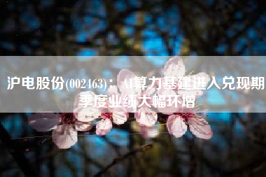 沪电股份(002463)：AI算力基建进入兑现期 季度业绩大幅环增