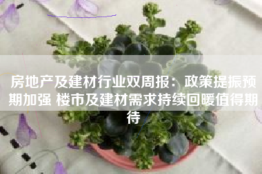 房地产及建材行业双周报：政策提振预期加强 楼市及建材需求持续回暖值得期待