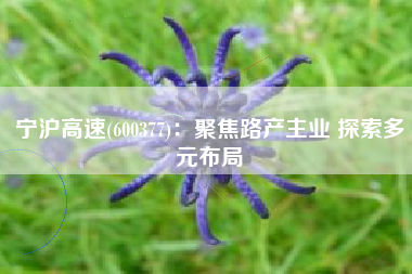 宁沪高速(600377)：聚焦路产主业 探索多元布局