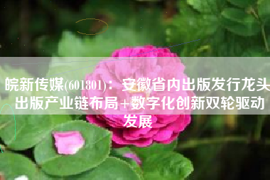 皖新传媒(601801)：安徽省内出版发行龙头 出版产业链布局+数字化创新双轮驱动发展