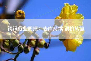 钢铁行业周报：去库持续 钢价转强