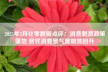 2025年3月社零数据点评：消费刺激政策落地 居民消费景气度明显回升