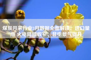 煤炭开采行业3月数据全面解读：进口量缩 火电降幅收窄、非电景气提升