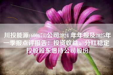 川投能源(600674)公司2024 年年报及2025年一季报点评报告：投资收益、分红稳定 控股股东增持公司股份