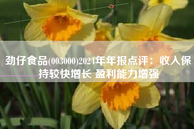 劲仔食品(003000)2024年年报点评：收入保持较快增长 盈利能力增强