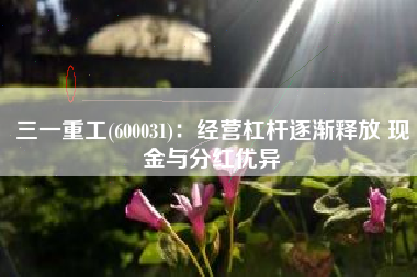 三一重工(600031)：经营杠杆逐渐释放 现金与分红优异