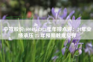 中牧股份(600195)2024年年报点评：24年业绩承压 25 年预期触底反弹