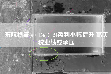 东航物流(601156)：24盈利小幅提升 高关税业绩或承压