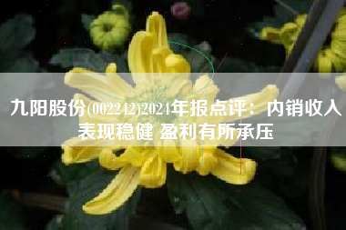 九阳股份(002242)2024年报点评：内销收入表现稳健 盈利有所承压