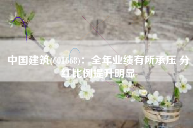 中国建筑(601668)：全年业绩有所承压 分红比例提升明显