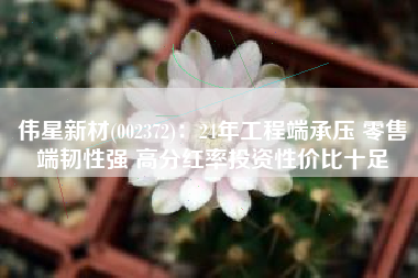 伟星新材(002372)：24年工程端承压 零售端韧性强 高分红率投资性价比十足