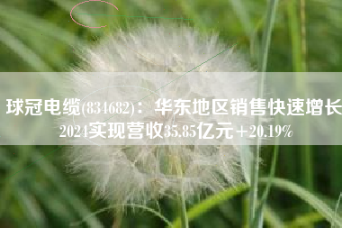 球冠电缆(834682)：华东地区销售快速增长 2024实现营收35.85亿元+20.19%