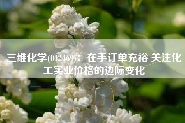 三维化学(002469)：在手订单充裕 关注化工实业价格的边际变化