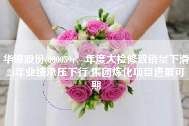 华锦股份(000059)：年度大检修致销量下滑24年业绩承压下行 集团炼化项目进展可期