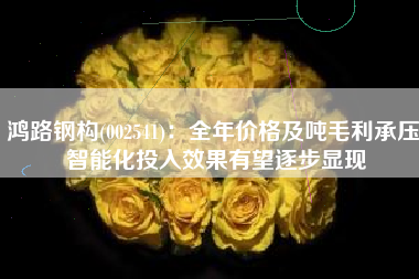 鸿路钢构(002541)：全年价格及吨毛利承压 智能化投入效果有望逐步显现
