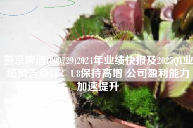 燕京啤酒(000729)2024年业绩快报及2025Q1业绩预告点评：U8保持高增 公司盈利能力加速提升