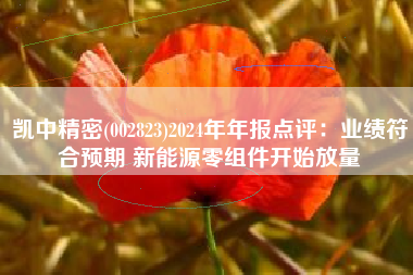 凯中精密(002823)2024年年报点评：业绩符合预期 新能源零组件开始放量
