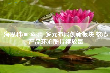 海思科(002653)：多元布局创新板块 核心产品环泊酚持续放量