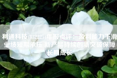 利通科技(832225)年报点评：盈利能力下滑业绩短期承压 新产品持续创新突破保障长期成长