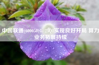 中国联通(600050)：25Q1实现良好开局 算力业务拓展持续