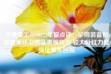 宇通重工(600817)年报点评：矿用装备和新能源环卫装备表现突出 较大分红力度强化股东回报