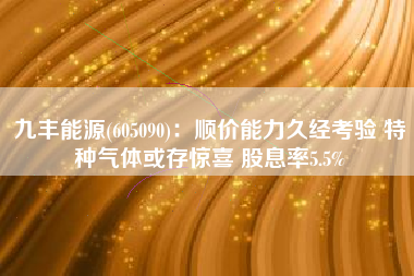 九丰能源(605090)：顺价能力久经考验 特种气体或存惊喜 股息率5.5%