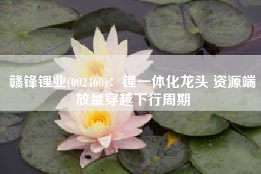 赣锋锂业(002460)：锂一体化龙头 资源端放量穿越下行周期