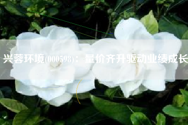 兴蓉环境(000598)：量价齐升驱动业绩成长