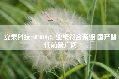 安集科技(688019)：业绩符合预期 国产替代前景广阔