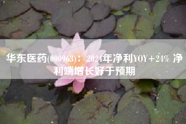 华东医药(000963)：2024年净利YOY+24% 净利端增长好于预期