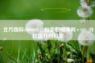 北方国际(000065)：扣非归母净利+16% 分红提升回报率
