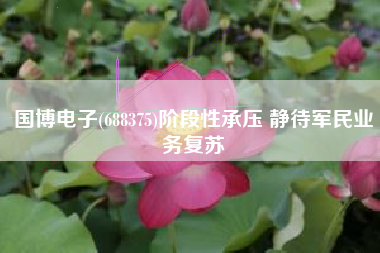 国博电子(688375)阶段性承压 静待军民业务复苏