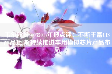 韦尔股份(603501)年报点评：不断丰富CIS产品矩阵 持续推进车用模拟芯片产品布局